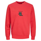 I Require Snacks Sweater | Lustiger Waschbär Pullover | Unisex Bio-Sweatshirt | Tiermotiv Geschenk | Winter Outfit | Snack Lover |
