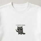I Require Snacks Sweater | Lustiger Waschbär Pullover | Unisex Bio-Sweatshirt | Tiermotiv Geschenk | Winter Outfit | Snack Lover |